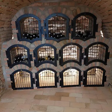 Zelnice Appartement Velké Pavlovice