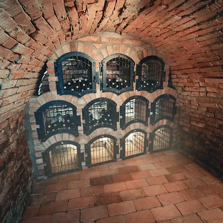 Zelnice * Velké Pavlovice